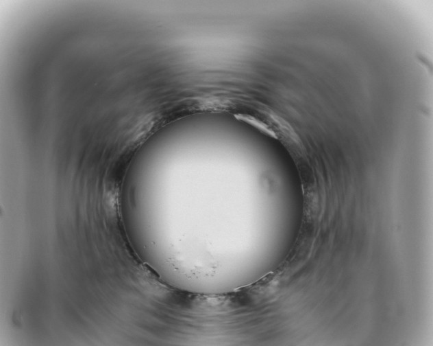 X0000095890329200801251208