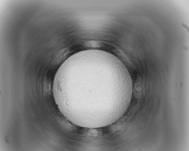 X0000095890330200801251208