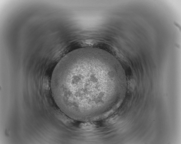 X0000095890331200801251208