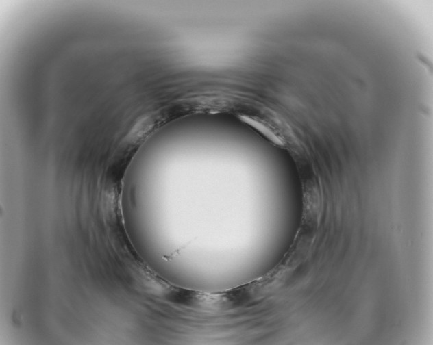 X0000095890333200801251208