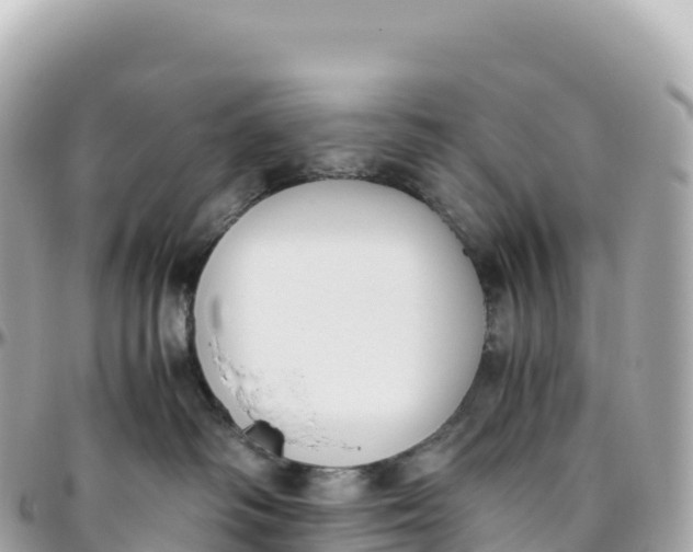 X0000095890334200801251208