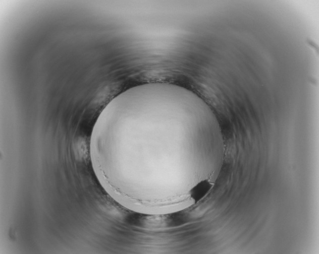 X0000095890335200801251208