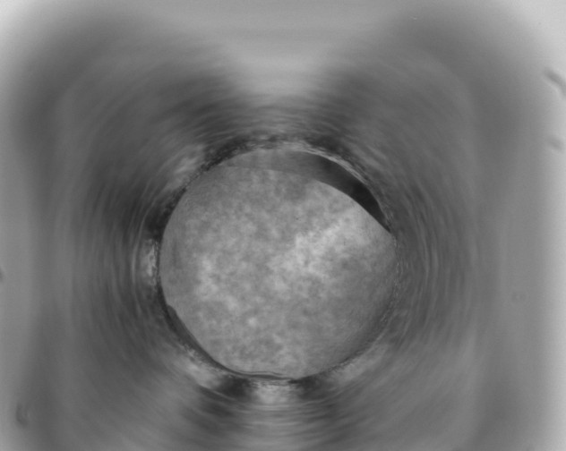 X0000095890336200801251208