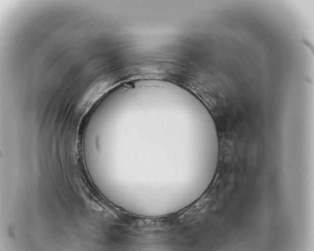 X0000095890338200801251207