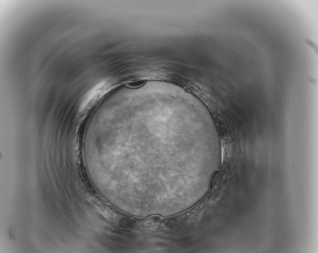 X0000095890339200801251207