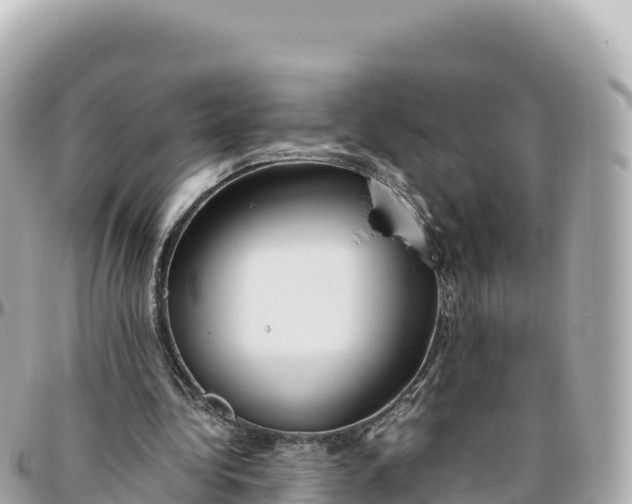 X0000095890340200801251207