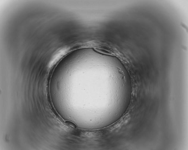 X0000095890341200801251207