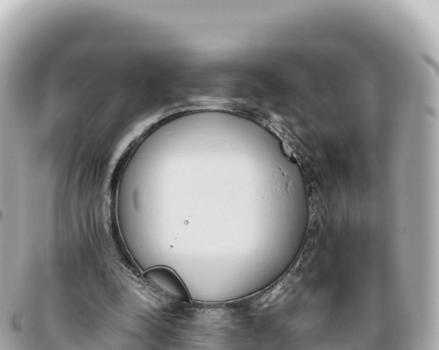 X0000095890342200801251207