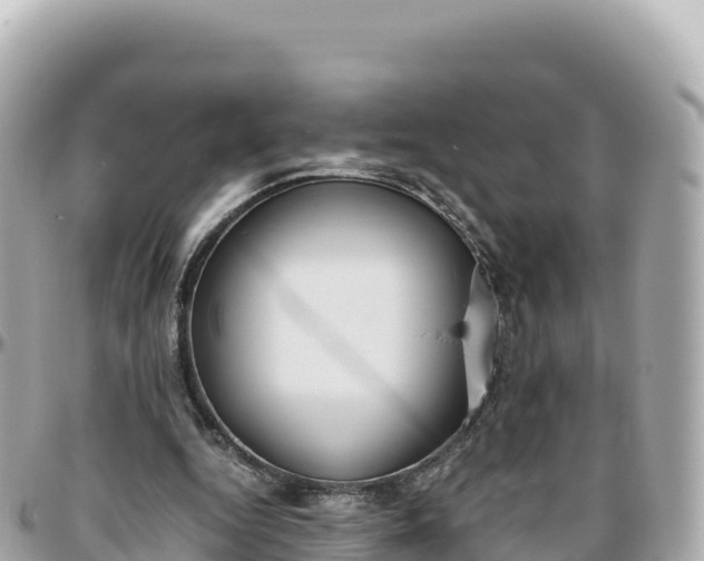 X0000095890344200801251207