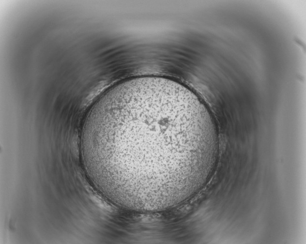 X0000095890345200801251207