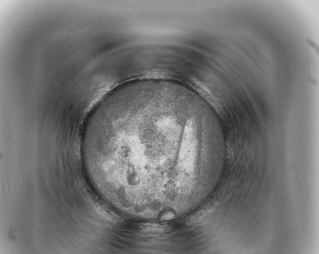 X0000095890347200801251207