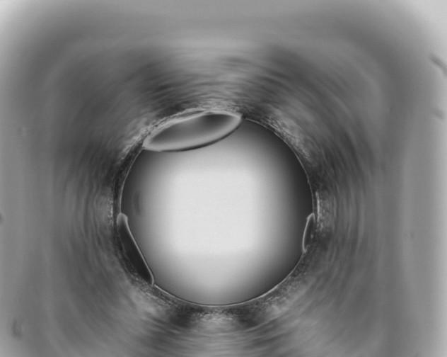 X0000095890348200801251207