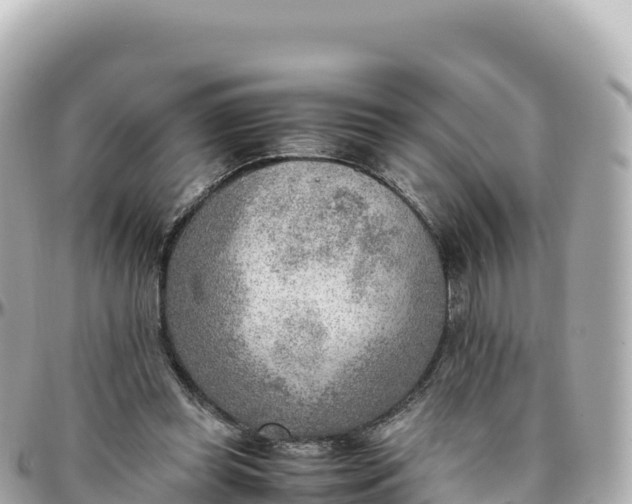 X0000095890349200801251207