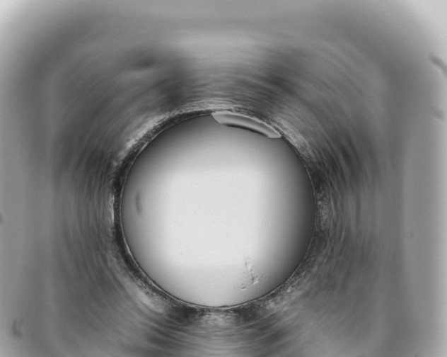 X0000095890350200801251207