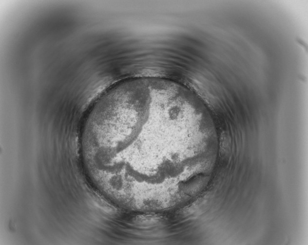 X0000095890351200801251207