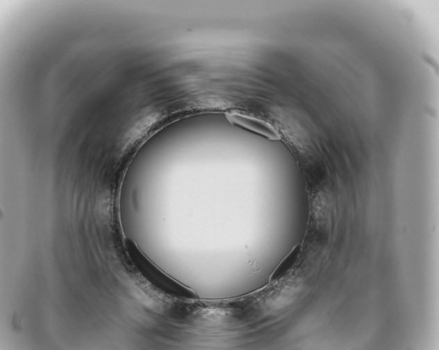 X0000095890352200801251207