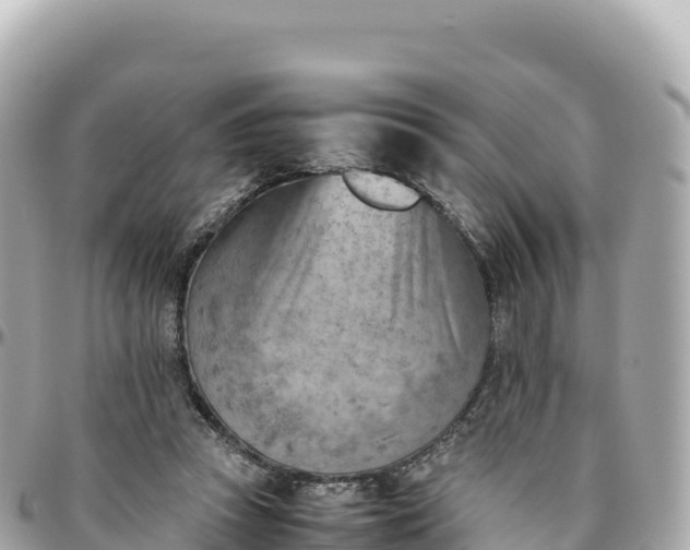 X0000095890353200801251207