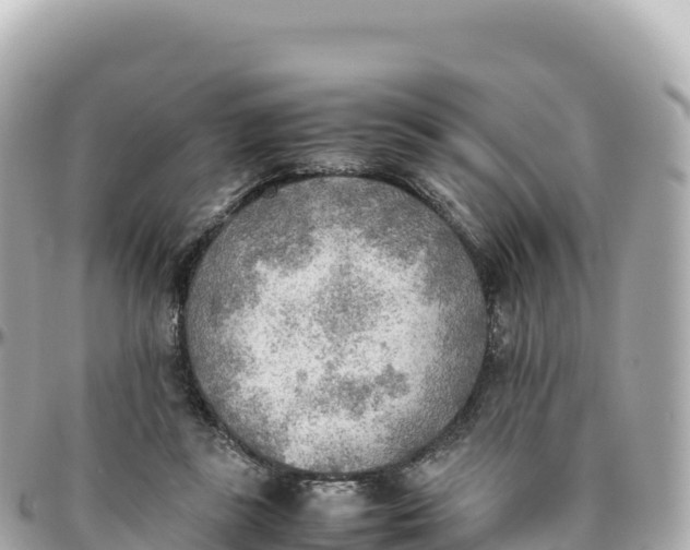 X0000095890355200801251207