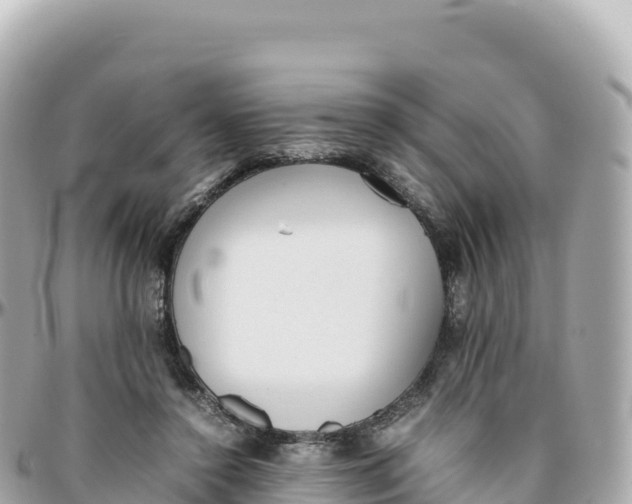 X0000095890356200801251207