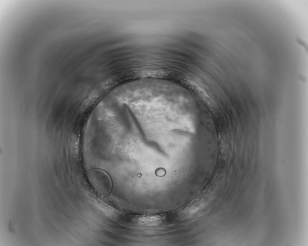 X0000095890357200801251207