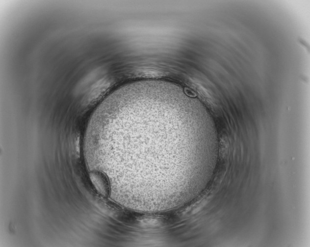 X0000095890358200801251207