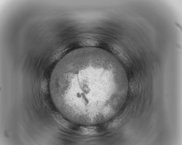 X0000095890359200801251207