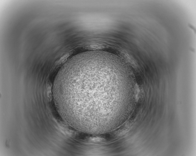 X0000095890360200801251207