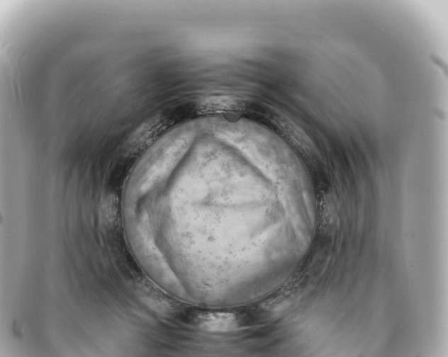 X0000095890361200801251207