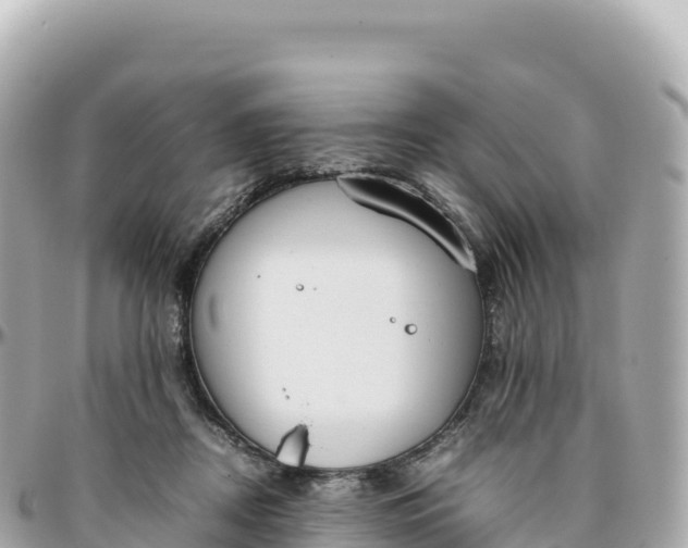 X0000095890362200801251207