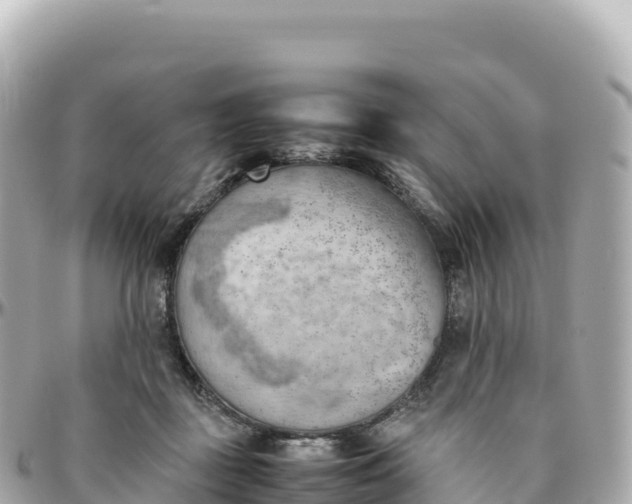 X0000095890363200801251208