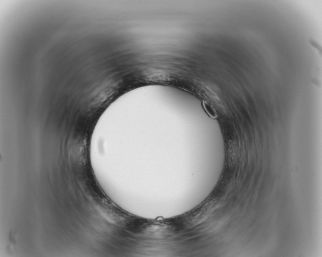 X0000095890364200801251208