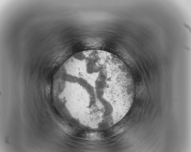 X0000095890365200801251208