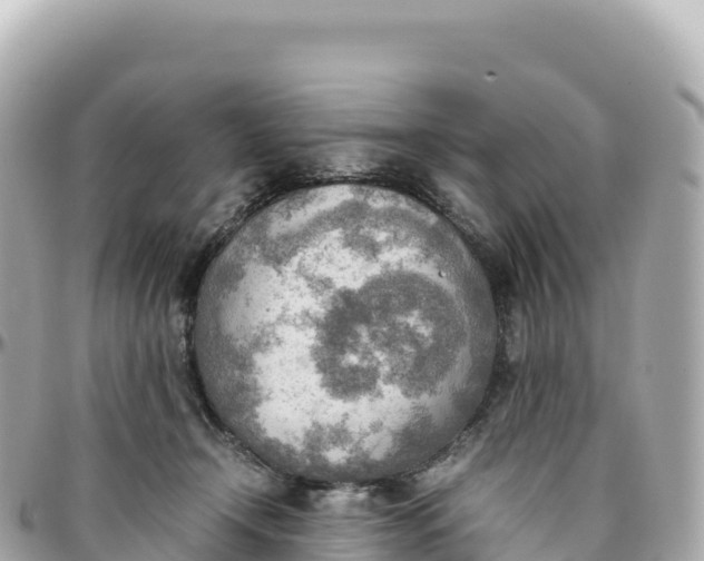 X0000095890366200801251208