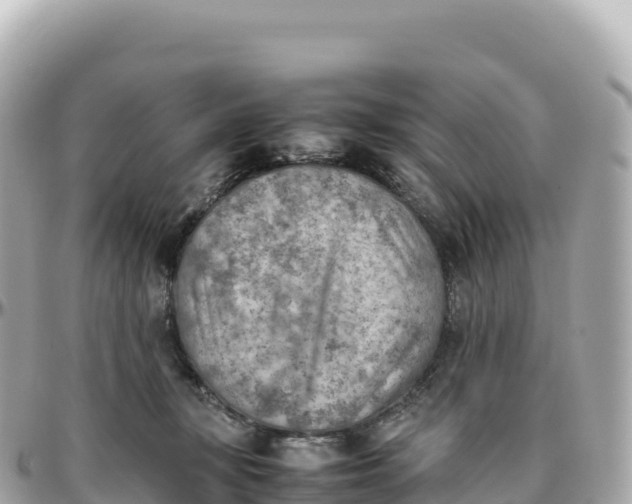 X0000095890367200801251208