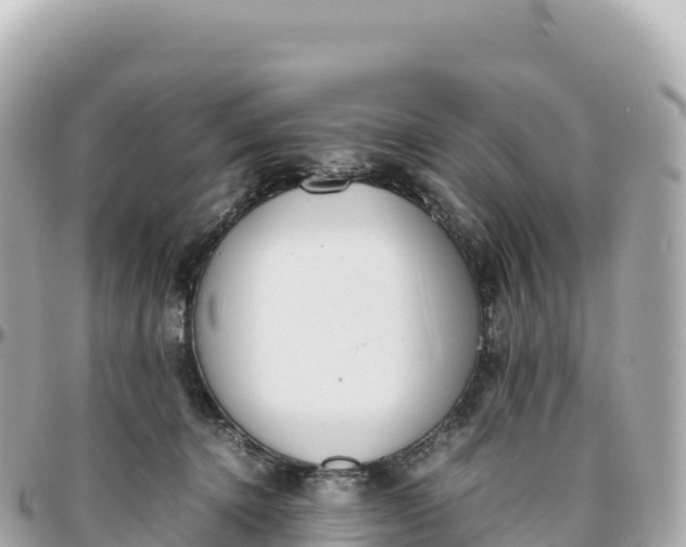 X0000095890368200801251208