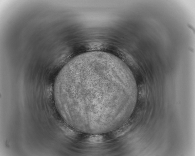 X0000095890369200801251208