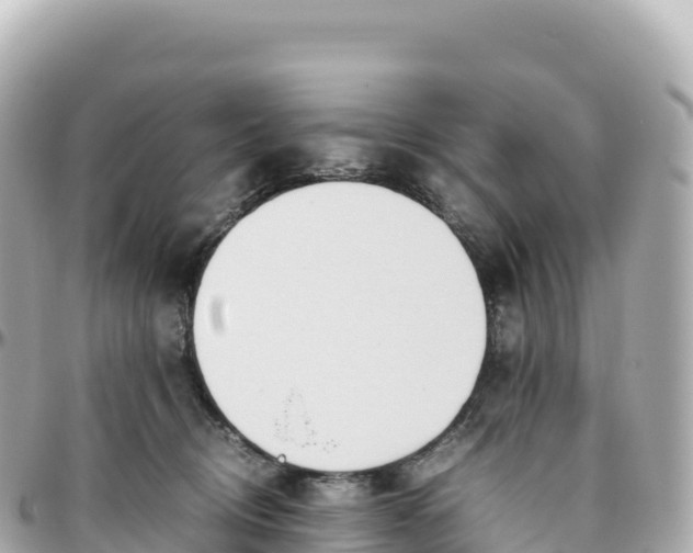 X0000095890370200801251208