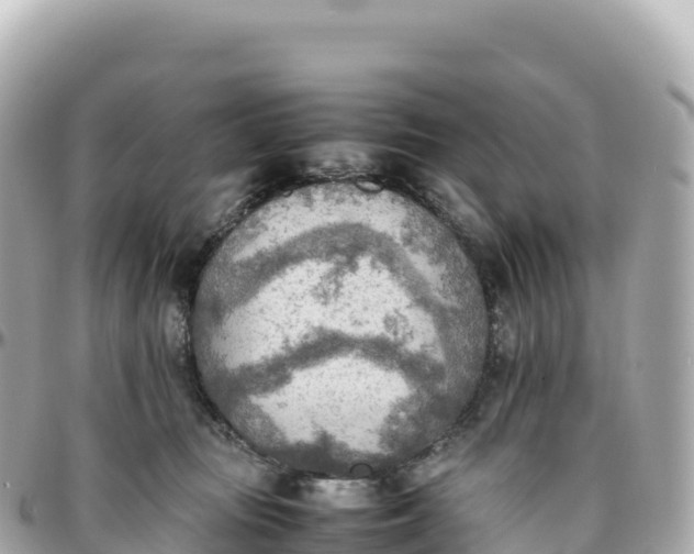 X0000095890371200801251208