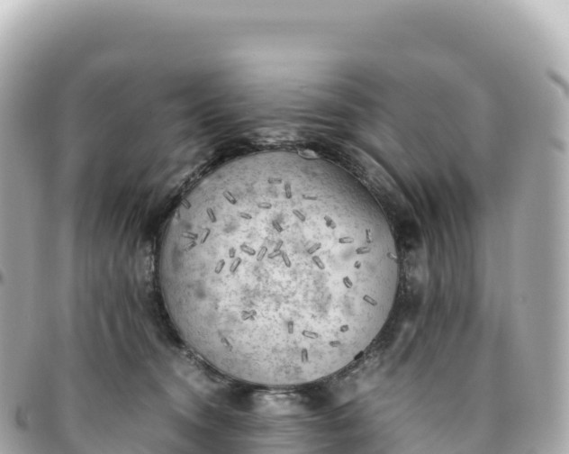 X0000095890372200801251208