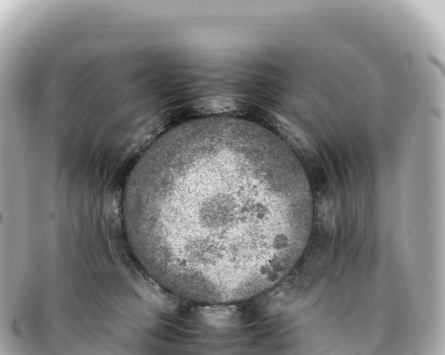 X0000095890373200801251208