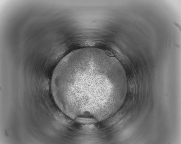 X0000095890374200801251208