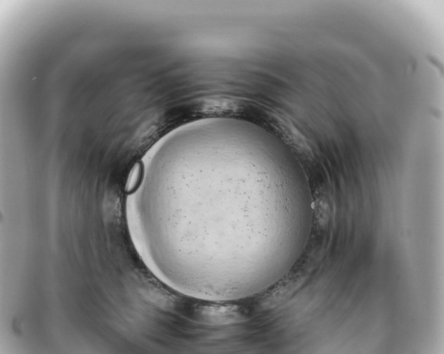 X0000095890375200801251208