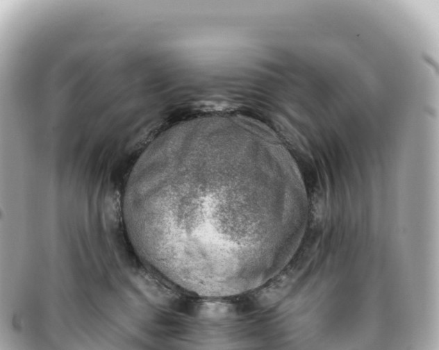 X0000095890376200801251208