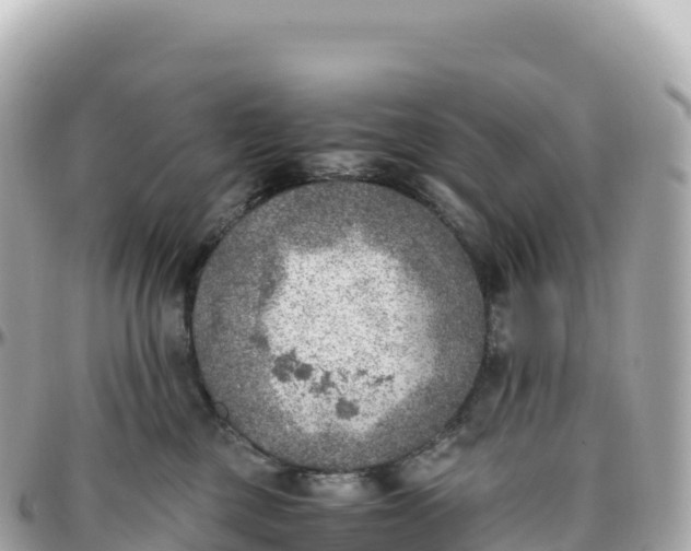 X0000095890377200801251208