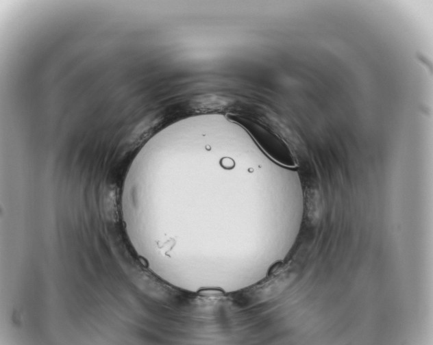 X0000095890378200801251208