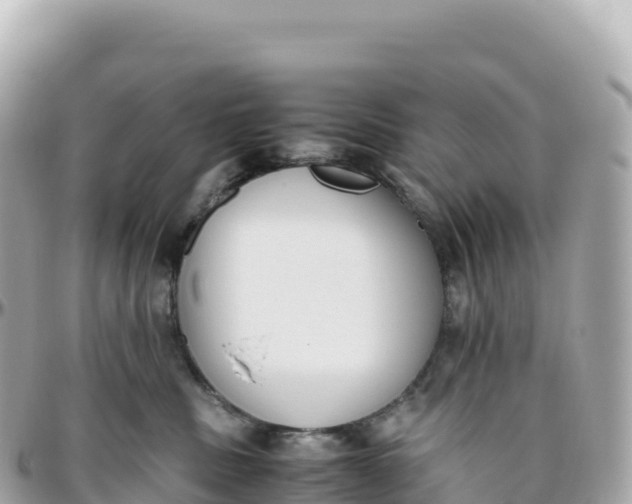 X0000095890379200801251208