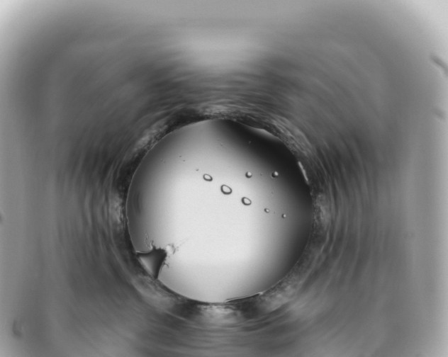 X0000095890380200801251208