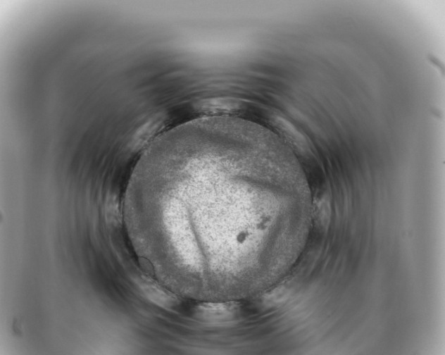 X0000095890381200801251208