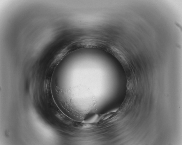 X0000095890382200801251208