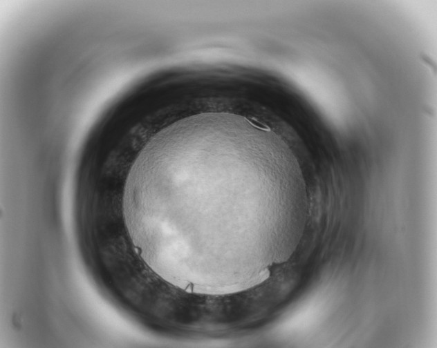 X0000095890383200801251208